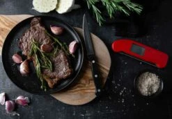 Thermapen One Thermometer, Groen -Keukengerei Aanbiedingen eti thermapen one thermometer 62