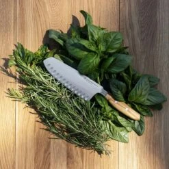 Wüsthof Amici Santokumes 17 Cm -Keukengerei Aanbiedingen wusthof amici santokumes 17 cm 1